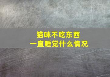 猫咪不吃东西 一直睡觉什么情况